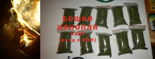 гашик Кодинск