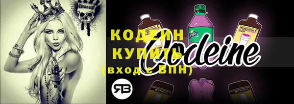 гашик Кодинск