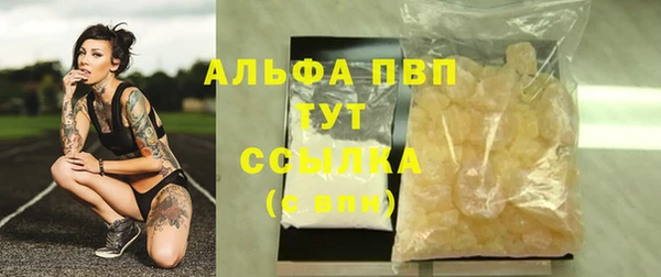 гашик Кодинск