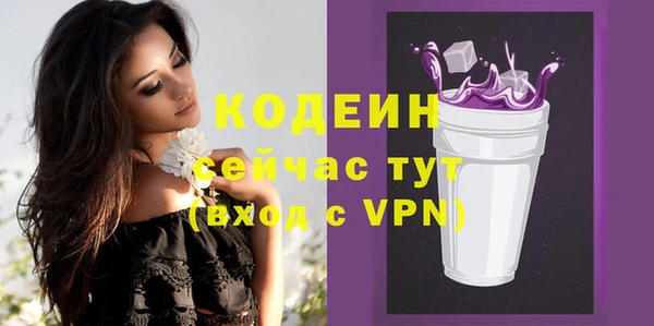гашик Кодинск