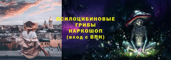 гашик Кодинск