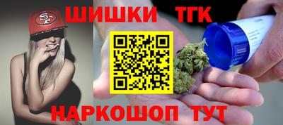 тгк Можга