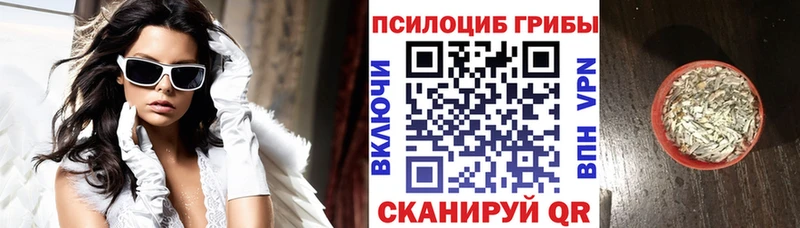 где купить наркотик  Кировск  Псилоцибиновые грибы прущие грибы 