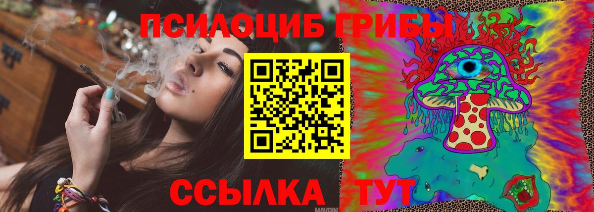 Псилоцибиновые грибы мицелий  Вход с VPN  Кировск 