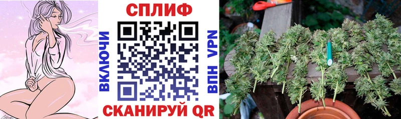 хочу наркоту  Кировск  Бошки Шишки тримм 